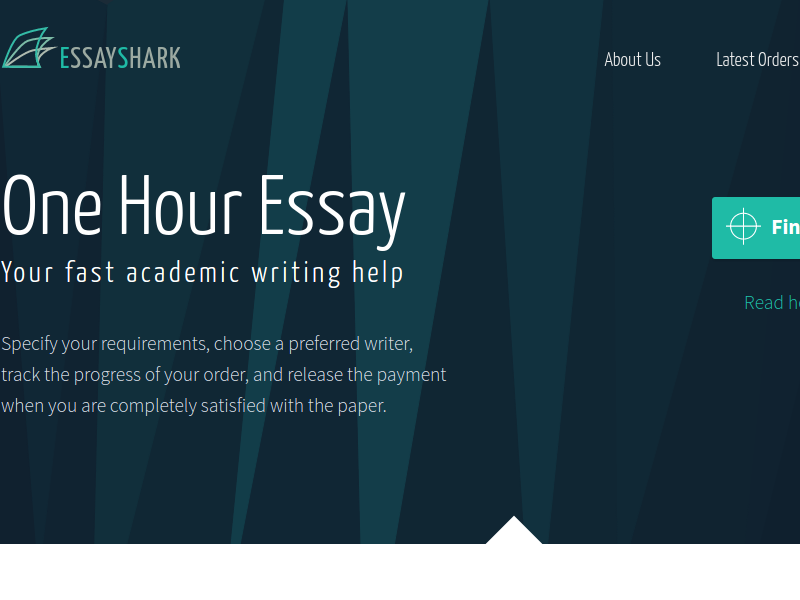 Essay writing general tips